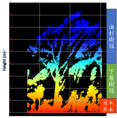 利用光達技術蒐集臺灣油杉林木資訊