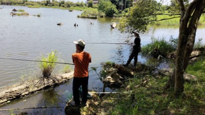 邀請民眾一起用釣竿移除威脅池內生態的外來魚種2