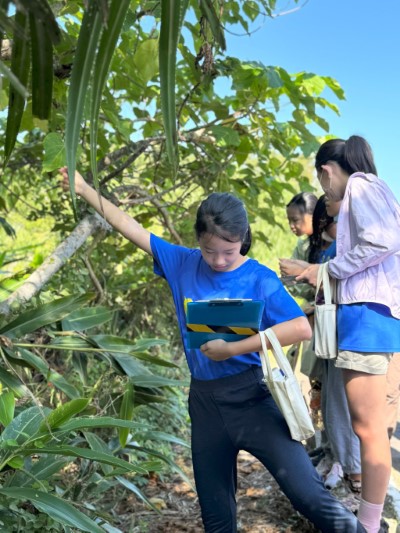 認識海岸防風林植物