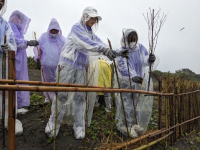 東光國中雨中完成堆砂籬3