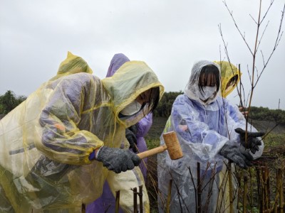 東光國中雨中完成堆砂籬4