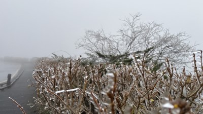 太平山出現霧淞。