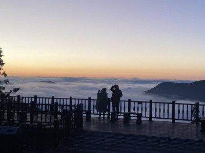 太平山壯觀雲海宛如仙境1