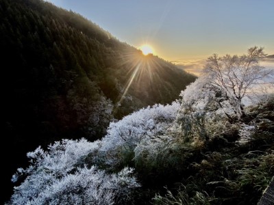 霧淞、雲海、日出再現絕美世界