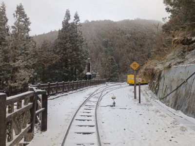 太平山國家森林遊樂區今天清晨下起冰霰，園區成為銀白世界2