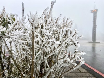 寒流來襲太平山降冰霰成夢幻雪白國度1