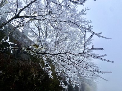 寒流來襲太平山降冰霰成夢幻雪白國度3