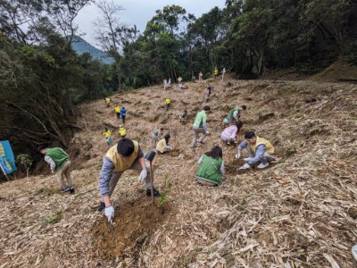 玉山金控於瑞芳山區營造蜜源森林