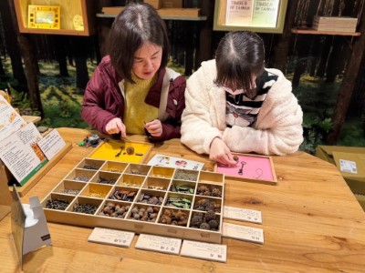 木育森林-現場報名鑰匙圈DIY體驗活動2