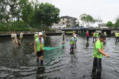 圖5、參與者透過實地觀察湧泉環境並進行藻類撈除、外來種移除與水域整理，重現清澈湧泉環境