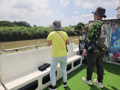 淡水河流域埃及聖䴉聯合擴大移除行動工作照片2