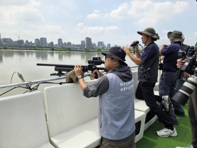 淡水河流域埃及聖䴉聯合擴大移除行動工作照片3