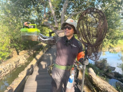 民眾移除泰國鱧魚球