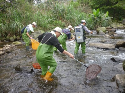 05_轄區溪流魚類調查情形