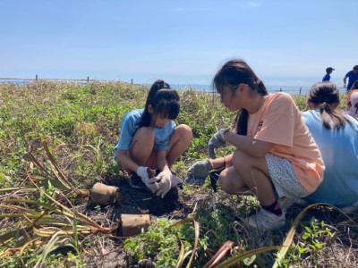 種下林投小苗守護海岸環境3