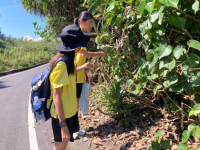 認識海岸防風林植物