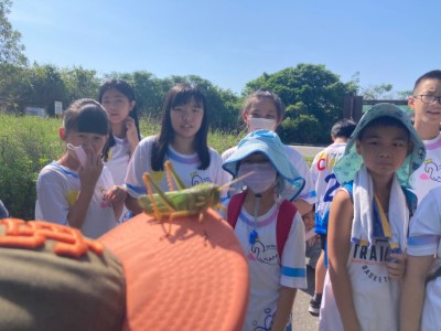 認識海岸防風林生態