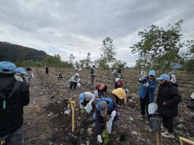 眾人齊心移除銀合歡小苗進行棲地營造