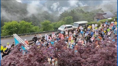 路跑活動於太平山紫葉槭下熱血開跑