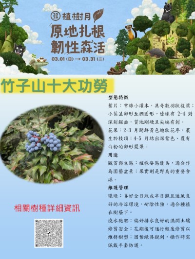 竹子山十大功勞